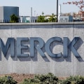 Is merck a fortune 500 company?